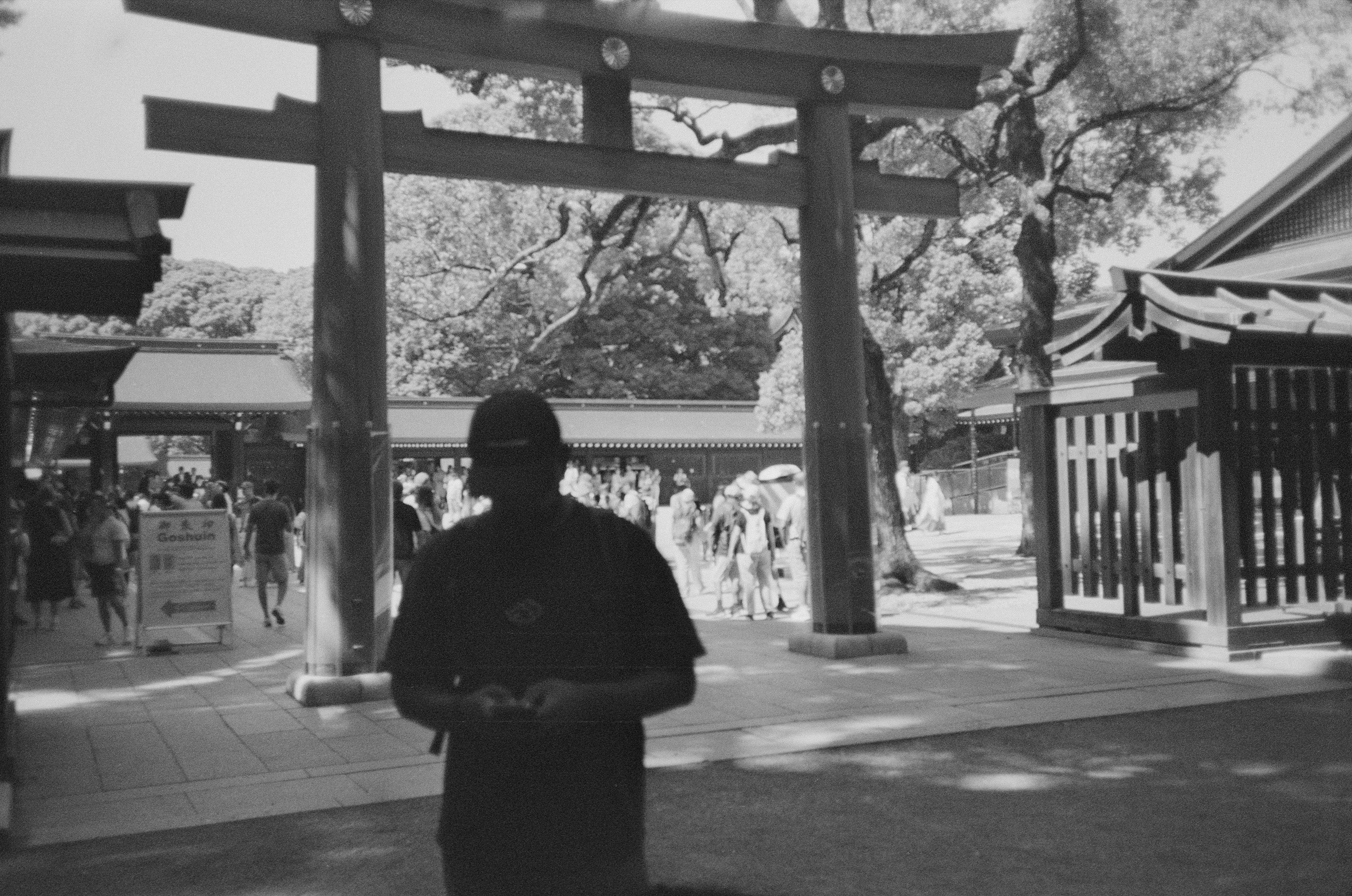 torii gate at shrine in japan